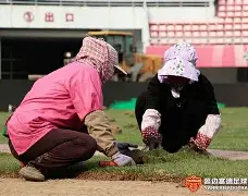 app下载-大连对本溪的足球比赛